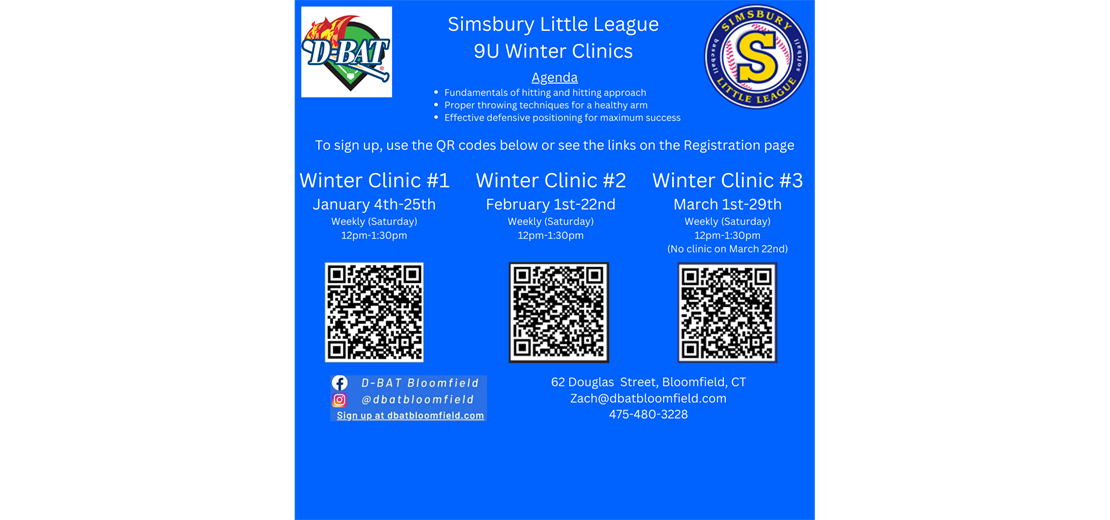 9U Baseball Winter Clinics